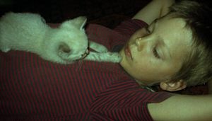 Meine Katze