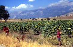 Anatolien